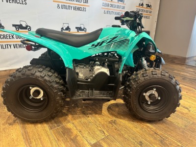2025 Yamaha YFZ 50
